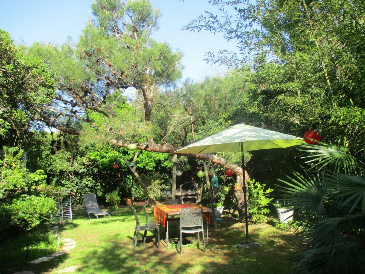 Jardin Et Bambous, Studio Cosy, Classe 2 Etoiles Марсейан Экстерьер фото