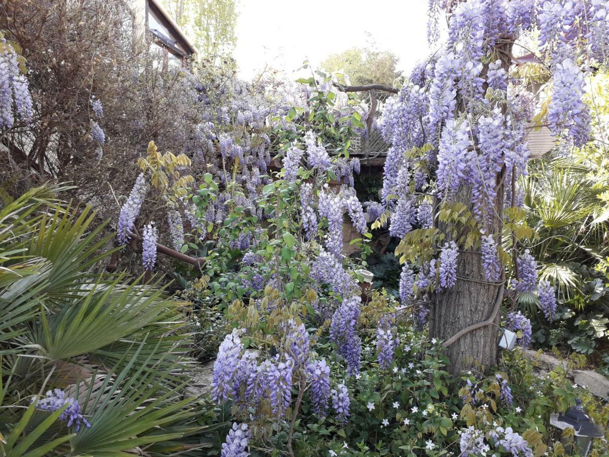 Jardin Et Bambous, Studio Cosy, Classe 2 Etoiles Марсейан Экстерьер фото
